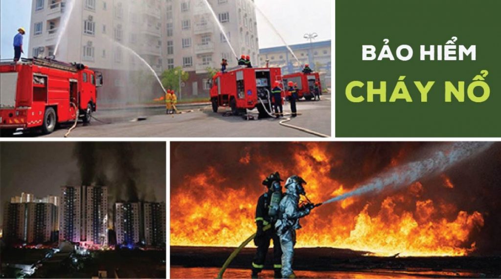 Công ty bảo hiểm Toàn Cầu