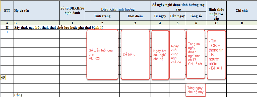 Công ty bảo hiểm Toàn Cầu